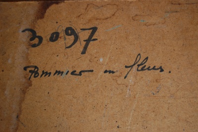 "pommier en fleur"